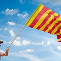 Signalflagga motorsport
