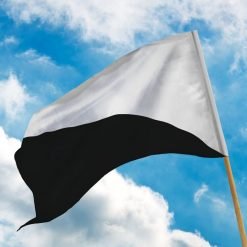 Flagga motorsport